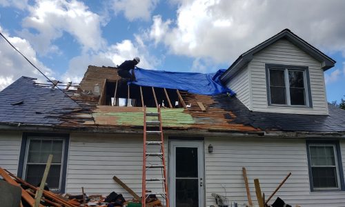 download (2) download (2)